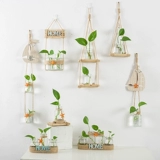 Глянцевая брендовая лампа для растений, креативное настенное украшение