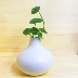 Wus gốm Zen gốm hoa trang trí phòng khách hoa hoa phụ kiện nhà chai nhỏ màu trắng Trung Quốc - Vase / Bồn hoa & Kệ chậu hoa cảnh Vase / Bồn hoa & Kệ