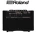 Loa chính hãng Roland Roland AC33 AC40 AC60 RW Loa Guitar Acoustic - Loa loa loa altec lansing Loa loa