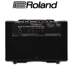 Loa chính hãng Roland Roland AC33 AC40 AC60 RW Loa Guitar Acoustic - Loa loa loa jbl clip 3 Loa loa
