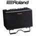 Loa chính hãng Roland Roland AC33 AC40 AC60 RW Loa Guitar Acoustic - Loa loa loa altec lansing Loa loa