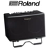 Loa chính hãng Roland Roland AC33 AC40 AC60 RW Loa Guitar Acoustic - Loa loa loa jbl clip 3 Loa loa