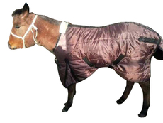 попона 小马衣冬季加厚保暖防水防冻矮马服加棉小马衣 马驹衣马具用品马