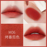 06#жареный томатный цвет (Ren Shu 2 1)