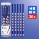 HB Blue Triangular Pol (30)