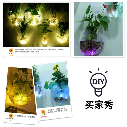 Стеной -Зеленый живой гидрофот объем творческий мини -стеклянный ваза висят прозрачная, простая свежая цветочная бутылка
