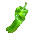 Семена маринованного перца с тонкокожным