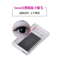 LovelyCat Ghép Lông Mi Lụa Đặc Biệt Protein Lông Mi Giả Siêu Mềm Tự Nhiên Trồng Lông Mi Thấp Hơn J5 gel kích mí mắt