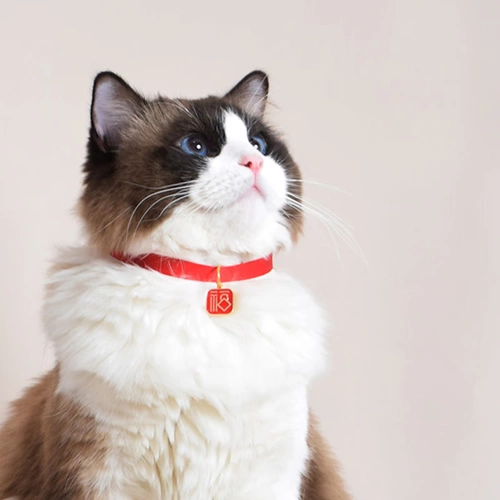 Колокольчик, регулируемый чокер, праздничнное ожерелье, милый аксессуар