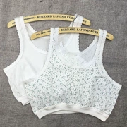 Phụ nữ trung niên và người già cộng với phân bón XL áo vest mỏng kiểu áo ngực cotton bra mẹ thêm áo ngực lớn