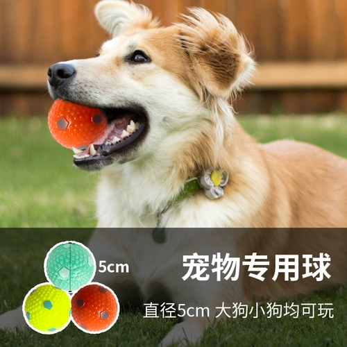 Резиновый прыгучий мяч, игрушка для тренировок, домашний питомец