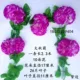 Daqiu Chrysanthemum Purple Edge 1