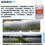 Подлинная лояльность, чистота, углеводородный, соль 80 Высокий регулятор качества воды. Удаление очистки воды нефтяной мембраны Дезинфекция, стерилизация, удаление водорослей