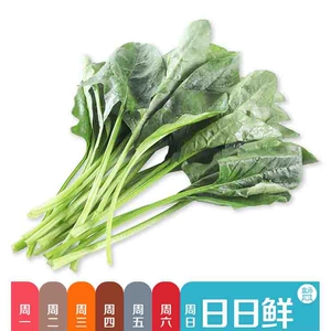 [【盒鲜锅】火锅免洗菠菜150g（日日鲜）-净菜]