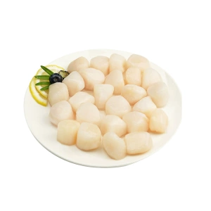 [深海日记 东海扇贝柱 200g 煲汤煮粥佳品]