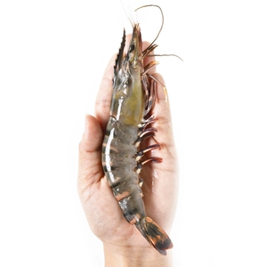 Император Fresh Palm Big Thailand 340G/Box 7-11