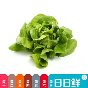 Салат с гидропонным маслом 240г/порция (Hema Daily Fresh)