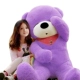 Фиолетовый спящий медведь