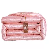 Зима стеганого одеяла была шелком к весне и осенью от однолетних студентов -студент -студент -студент -студент -студент -студент -трюк.