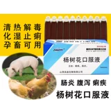 Lao Sheep Pig Bureta Life Line Safe Light Light Poplosmom Oral Line Plulin Bulk Rabbit Pig