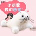 Murchi Little Seals Snow Cave Little Doll with Nest Plush Đồ chơi Thủy cung nhỏ Búp bê dễ thương Ngày trẻ em tinh tế - Đồ chơi mềm em bé búp bê Đồ chơi mềm