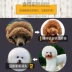 Thức ăn cho chó màu xanh nói chung loại 5kg10 kg Teddy VIP Jinmao Samo Labrador thức ăn cho chó vừa và nhỏ - Chó Staples