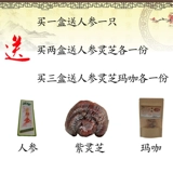 Publisa питание китайские лекарственные материалы медицинские лекарственные материалы Maca ganoderma Velvet andler ginseng Wolfberry