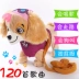 Trẻ em của đồ chơi điện chó đi bộ sẽ hát mô phỏng puppy plush Teddy dog ​​Wang Wang đội leash điều khiển từ xa dog