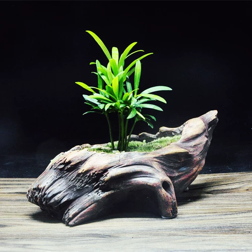 Moss Micro -landscape Desktop Mood Mood, Plant Bamboo Bonsai Bonsai Дома