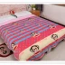 Flannel tấm chăn dày chống trượt ấm san hô thảm đơn đôi mùa đông cộng với chăn nhung ga giường 1m2x2m Khăn trải giường