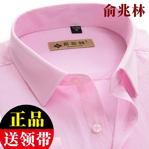 Рубашка, весенний розовый пиджак классического кроя, большой размер, свободный крой