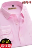 Рубашка, весенний розовый пиджак классического кроя, большой размер, свободный крой
