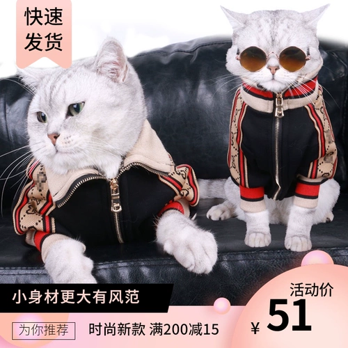 Весенняя тонкая толстовка, милый осенний удерживающий тепло шнурок-держатель, популярно в интернете