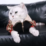 Весенняя тонкая толстовка, милый осенний удерживающий тепло шнурок-держатель, популярно в интернете