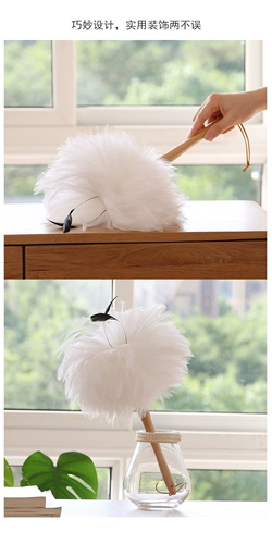 Rhabow Family Family Dust Dust Dust Dust Dust Crash rate White Pooster Decorative Pilezers