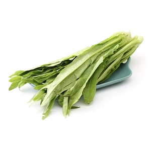 [油麦菜 300g/盒]