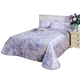 Fu Anna giường mat 1.8m đúp gấp ghế máy lạnh Thảm mùa hè lụa băng ba mảnh chính hãng mùa hè mat ngủ - Thảm mùa hè giá đệm nước everon Thảm mùa hè