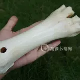 Собачья мого золото золотой мао ​​Золотой репон