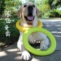 Ева колька-фрук зеленый