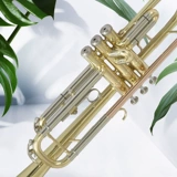 Подлинные трубы инструменты B -Tun Triple -Sound Triple Church Специализированная младшая первичная тест Performance Test Professional Band Musical Instrument