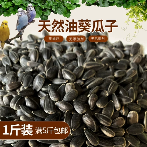 Сырой масляный подсолнечник/Черные семена жемчужины/попугая птичья пищевая корм