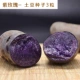 【3 капсулы фиолетового картофеля】