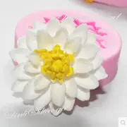 Fondant silicone khuôn bánh hoa trang trí tự làm sô cô la khô pais hướng dẫn sử dụng công cụ keo