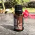 Authentic American doTERRA Dolly Oải hương nguyên chất thực vật tự nhiên Tinh dầu thơm giúp ngủ làm dịu 15ml - Tinh dầu điều trị