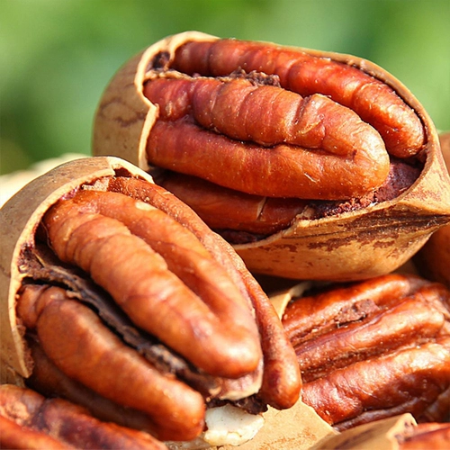 [Fang wu Ge_bingen Fruit] Горный орех долговечность