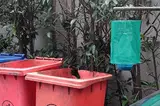 Мухи ловят мухи, складывающие подвесную подвеску на открытом воздухе, развевающие летающие ловушки, ловящие мухи и летающие мухи, индуцированные мухами
