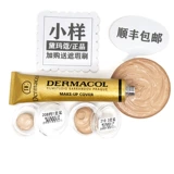 Тональный крем, консилер, татуировка для лица, пробный комплект, скрывает прыщи