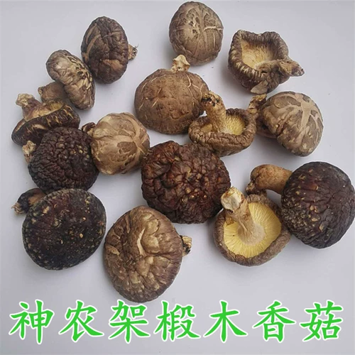 Shennongjia Special -грибов Ольхи, зимние грибы, грибы из сушеных чайных деревьев, маленькие грибы шиитаке, грибы, грибы, грибы, грибы