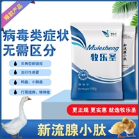 Недавно текущие железы куриная утка и гусиный анти -вирусный грипп.