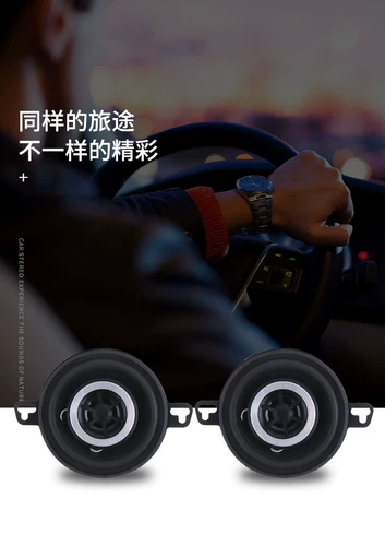 Чанген Оу Золотая Кубка Маленькая морская льва